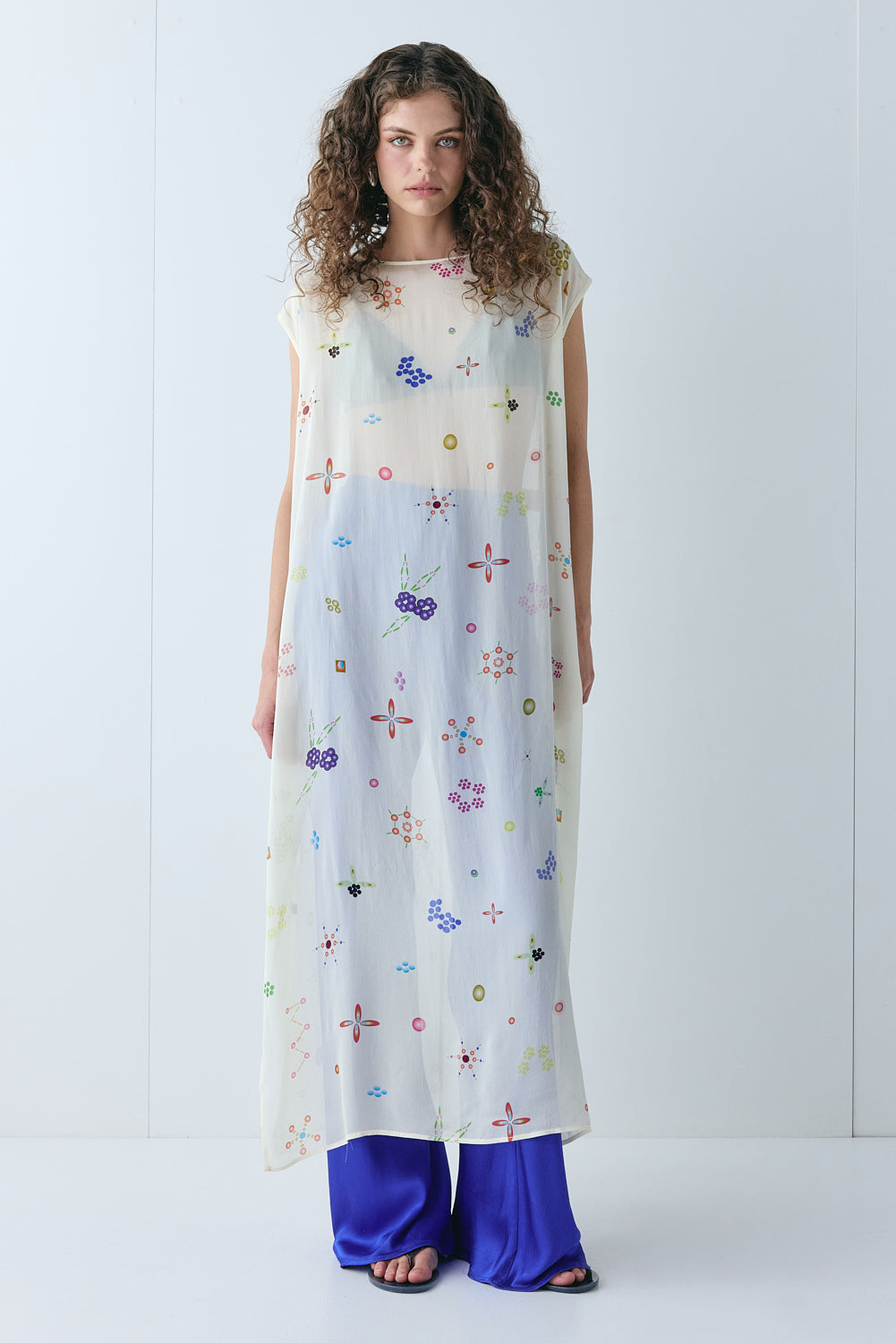 Solaire Sheer Maxi Dress Pia