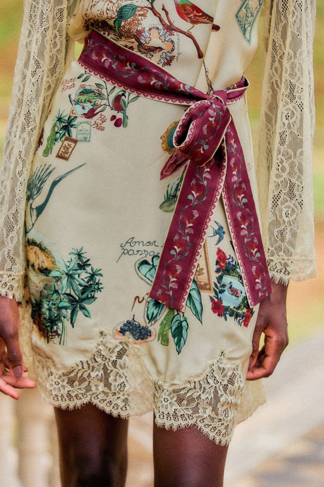 Bird Poetry Lace Long Sleeve Mini Dress