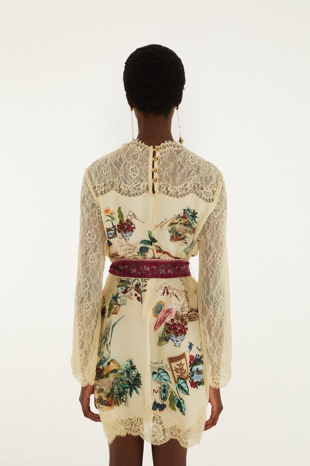 Bird Poetry Lace Long Sleeve Mini Dress